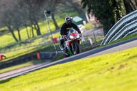 Oulton-Park-20th-March-2020;PJ-Motorsport-Photography-2020;anglesey;brands-hatch;cadwell-park;croft;donington-park;enduro-digital-images;event-digital-images;eventdigitalimages;mallory;no-limits;oulton-park;peter-wileman-photography;racing-digital-images;silverstone;snetterton;trackday-digital-images;trackday-photos;vmcc-banbury-run;welsh-2-day-enduro
